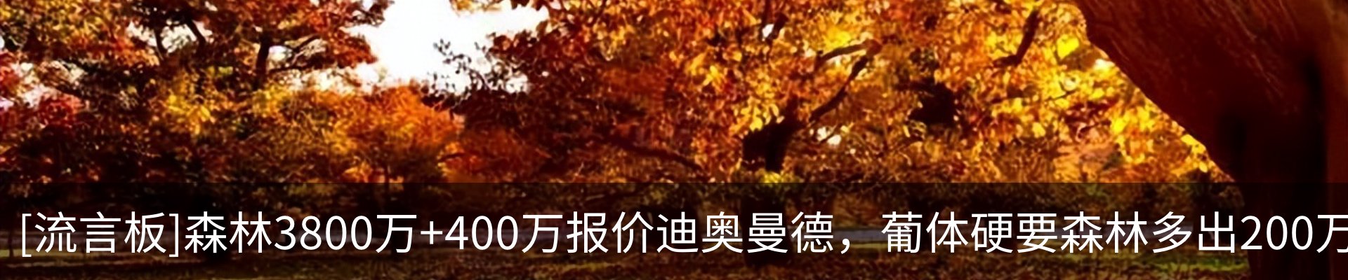 资讯动态
